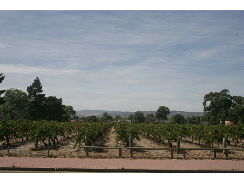 2 Hamley Street, Morphettville SA 5043