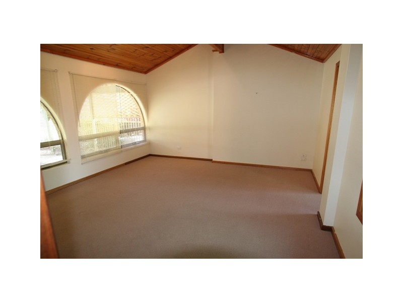 17 Owen Street, Morphettville SA 5043