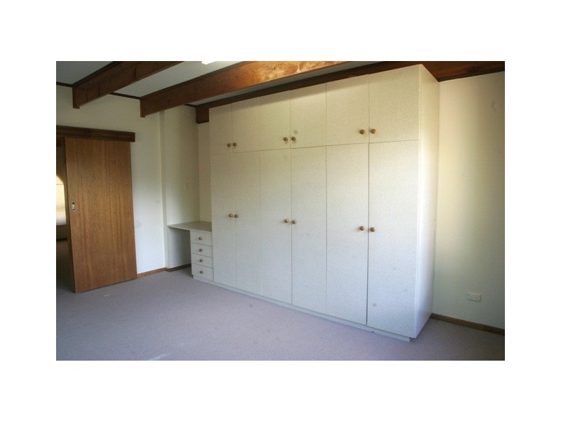 17 Owen Street, Morphettville SA 5043