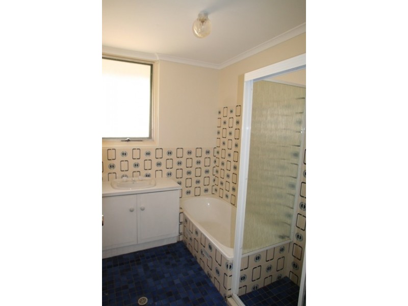 17 Owen Street, Morphettville SA 5043