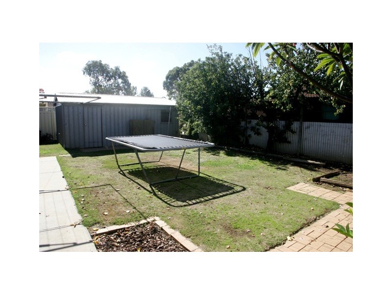17 Owen Street, Morphettville SA 5043
