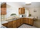 19 Duncan Avenue, Park Holme SA 5043
