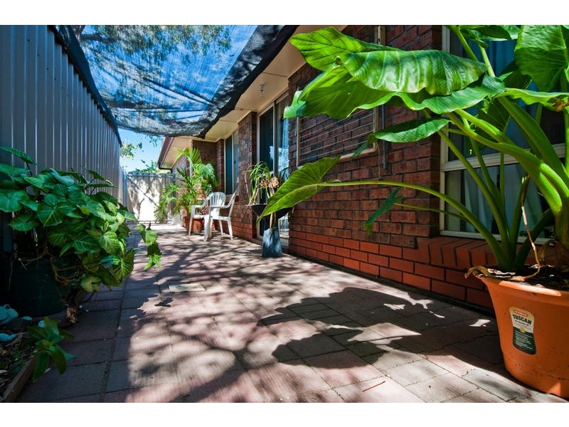 26 Fitzroy Avenue, Camden Park SA 5038