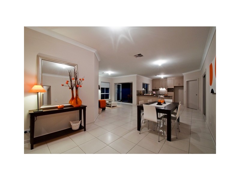 1B Wilcox Avenue, Morphettville SA 5043