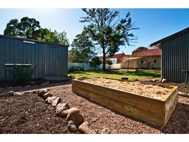 17 Abbeville Terrace, Marion SA 5043