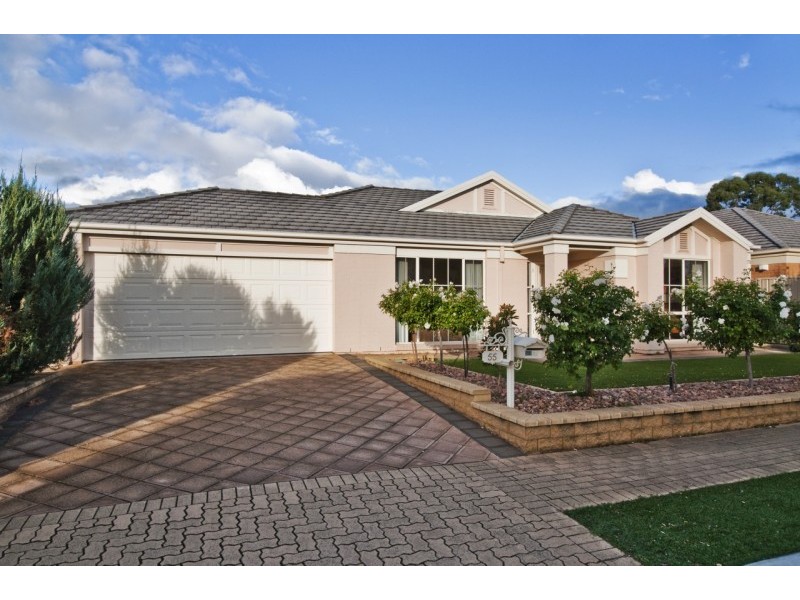 55 Chittleborough Circuit, Morphettville SA 5043