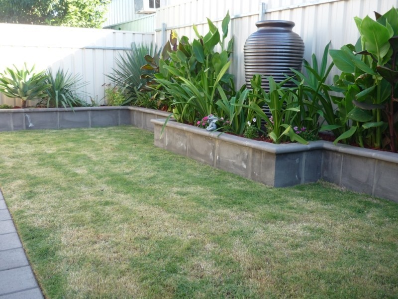 11 Reo Road, Croydon Park SA 5008