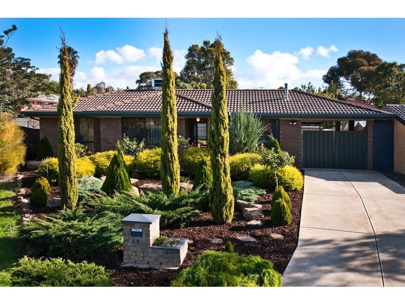 12 Lynly Court, Morphett Vale SA 5162