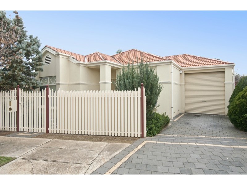 19a Henry Street, Plympton SA 5038