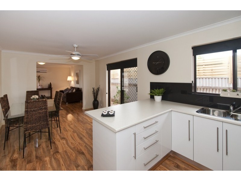 26 Albert Avenue, Camden Park SA 5038