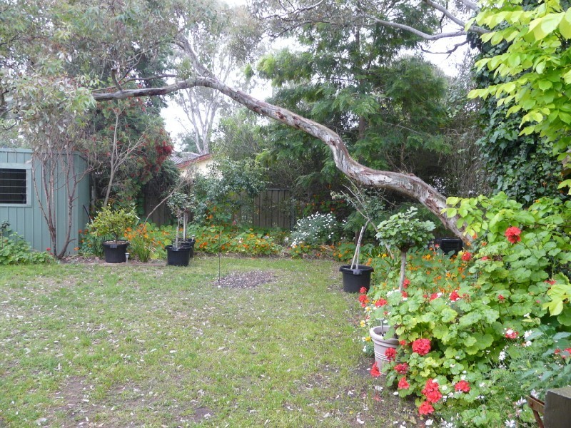 24 Balee Road, Happy Valley SA 5159