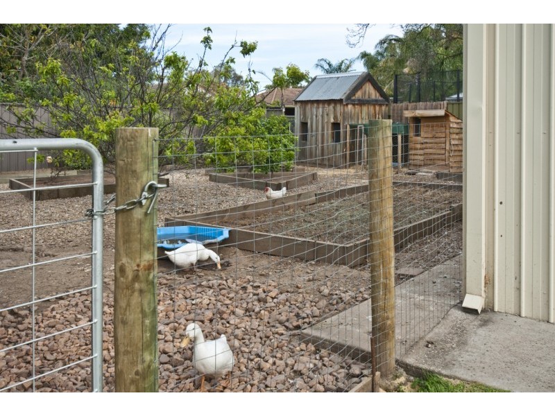 8 Everest Avenue, Morphettville SA 5043