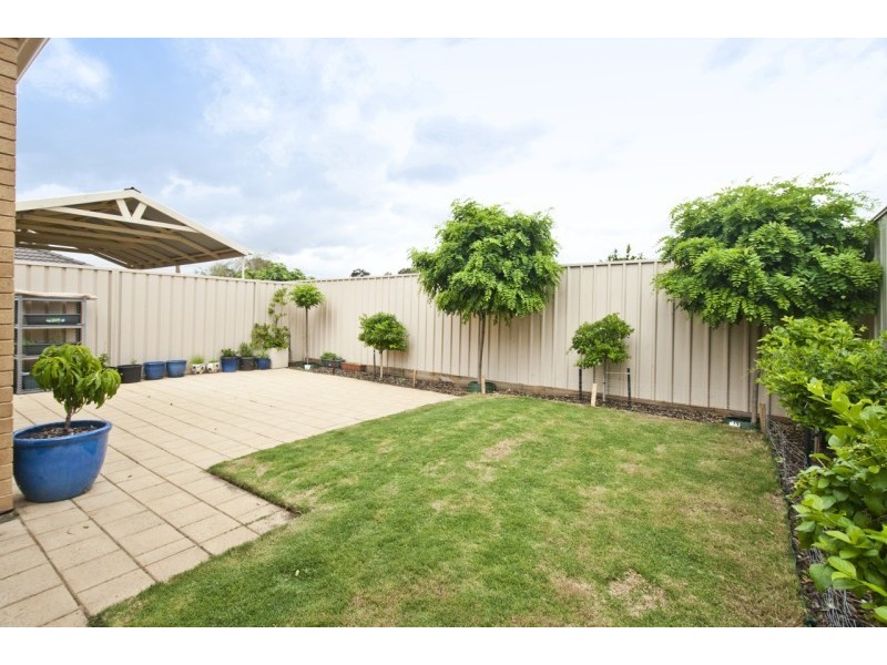 4B Warwick Avenue, Kurralta Park SA 5037