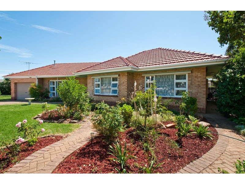 61 Osborn Terrace, Plympton SA 5038