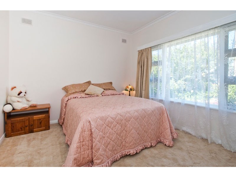 61 Osborn Terrace, Plympton SA 5038