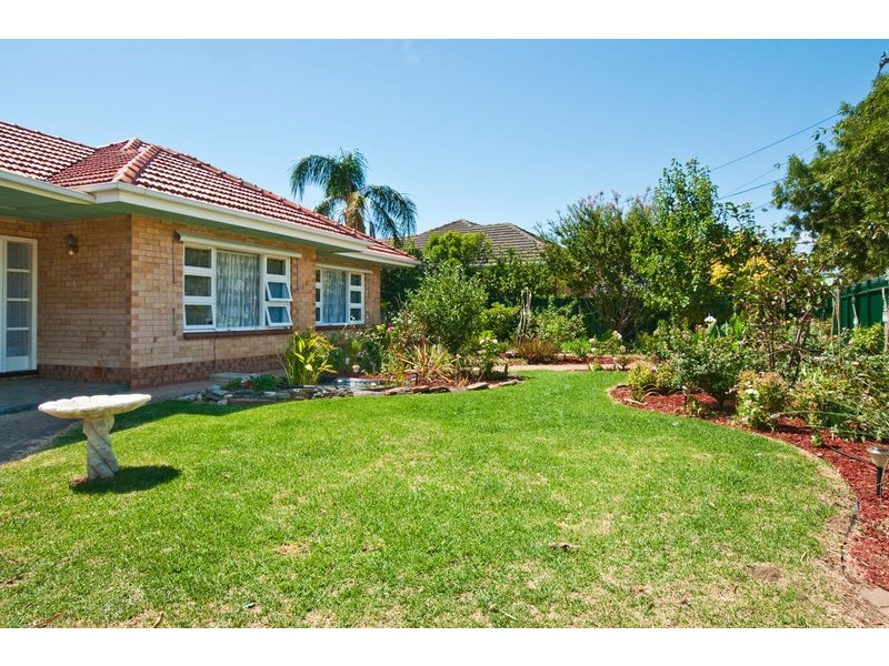 61 Osborn Terrace, Plympton SA 5038