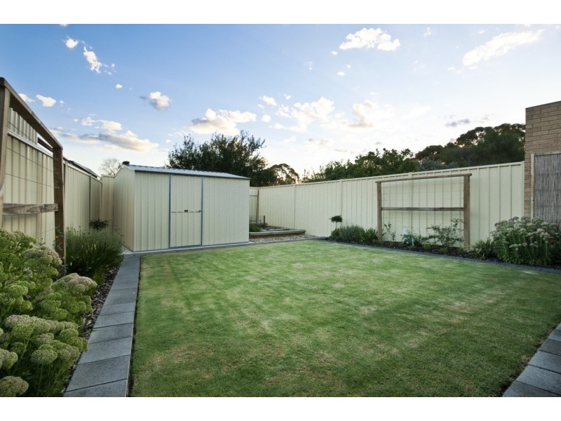 20 Cobham Avenue, Morphettville SA 5043