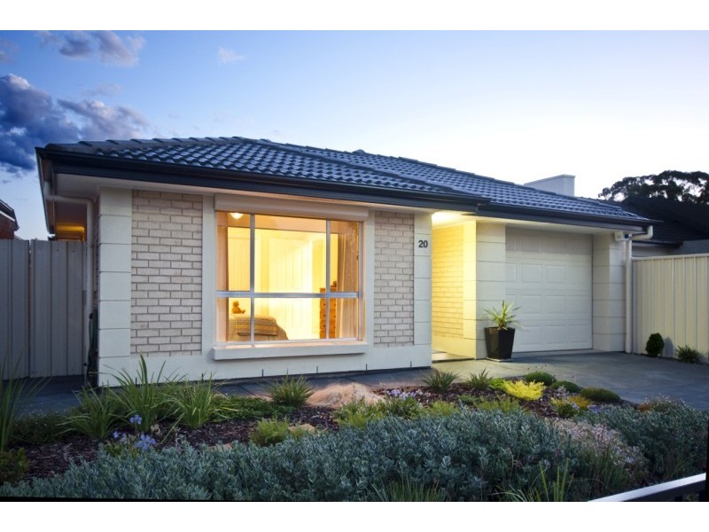 20 Cobham Avenue, Morphettville SA 5043