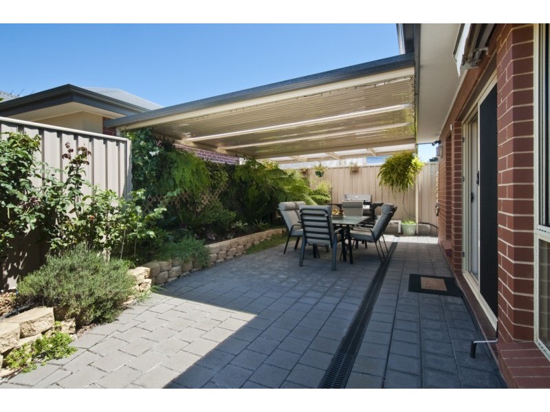 19 Talbot Avenue, North Plympton SA 5037