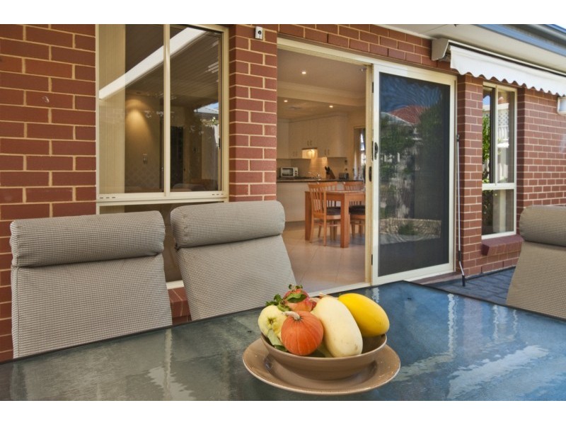 19 Talbot Avenue, North Plympton SA 5037