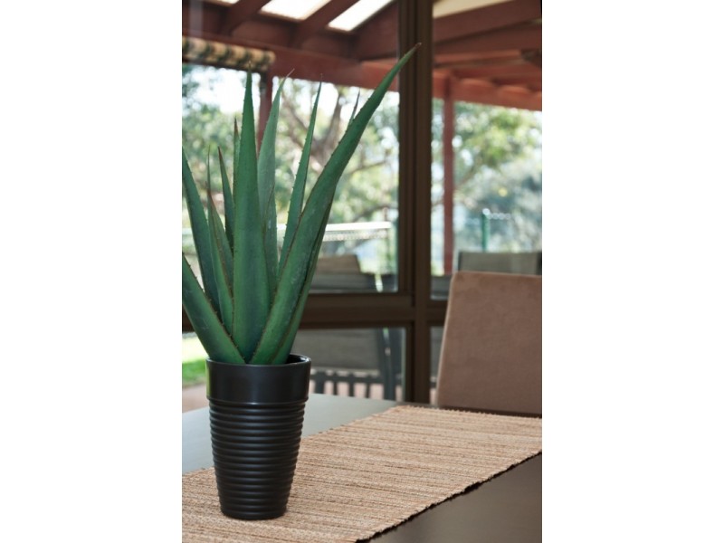 43 Kingfisher Circuit, Flagstaff Hill SA 5159