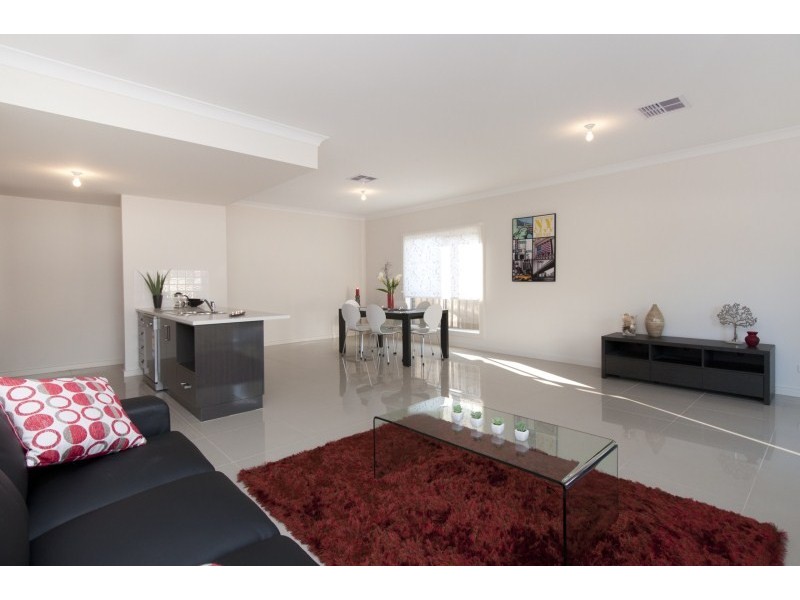 16 Gordon Tce, Morphettville SA 5043