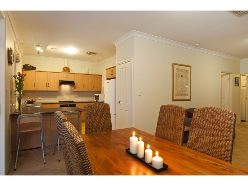 8  Regan Ave, Morphettville SA 5043