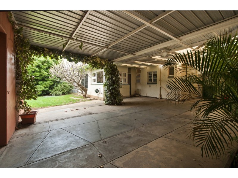 62 Bowker Street, Somerton Park SA 5044