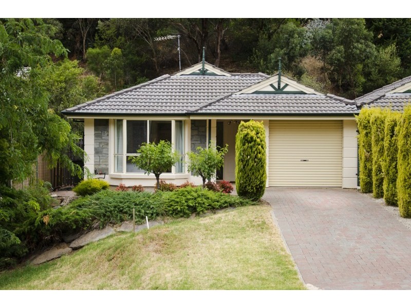 12 John Fisher Drive, Torrens Park SA 5062