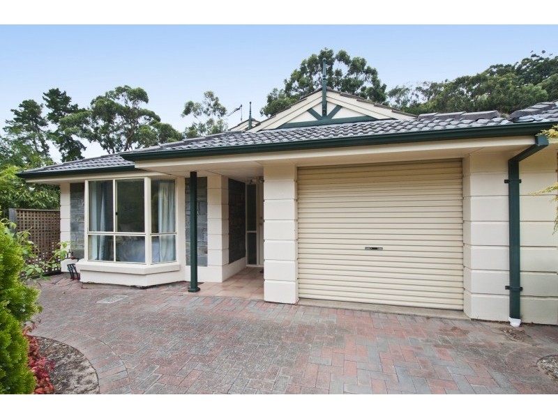 12 John Fisher Drive, Torrens Park SA 5062