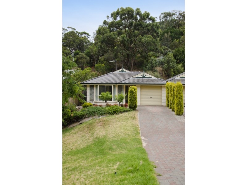 12 John Fisher Drive, Torrens Park SA 5062