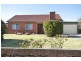 43 Austral Tce, Morphettville SA 5043