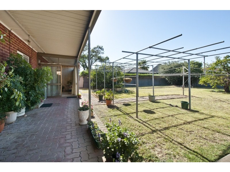 43 Austral Tce, Morphettville SA 5043