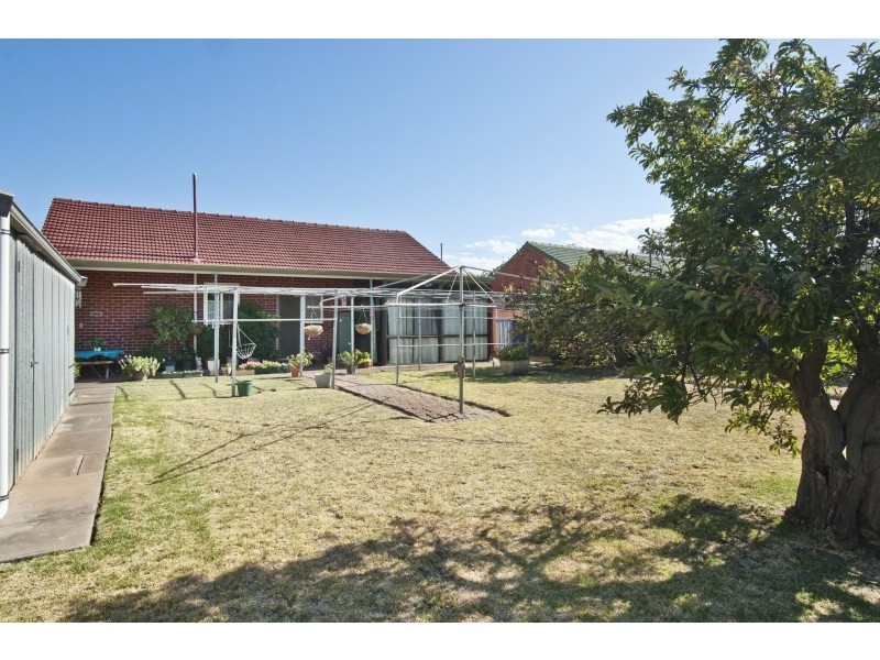 43 Austral Tce, Morphettville SA 5043