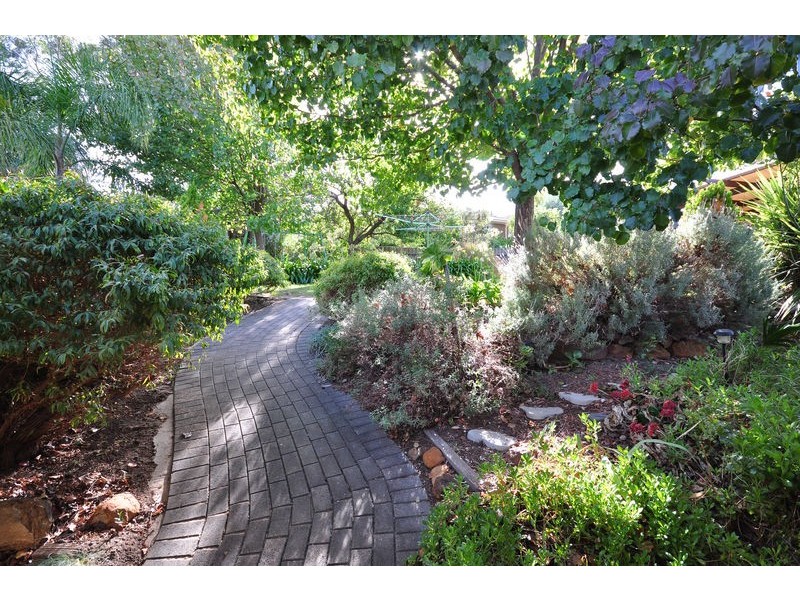 19 Banksia Road, Aberfoyle Park SA 5159