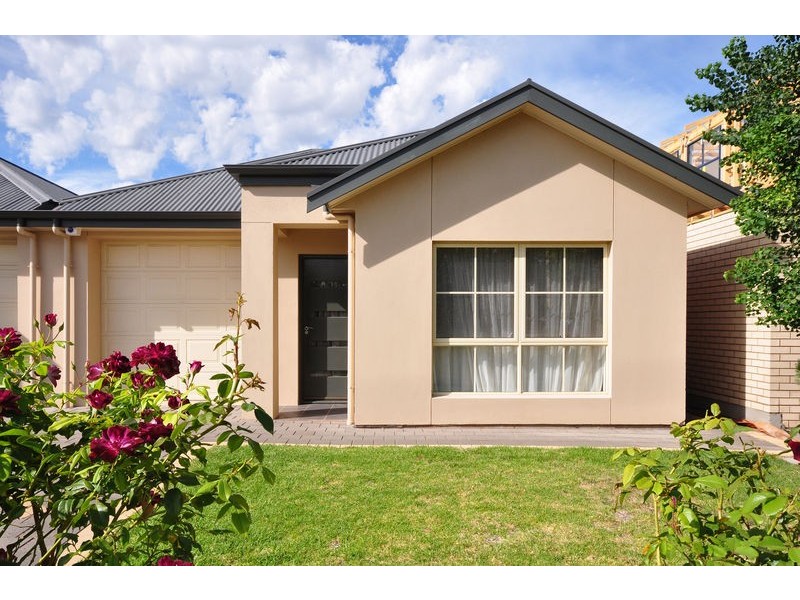 22 Dwyer Road, Oaklands Park SA 5046