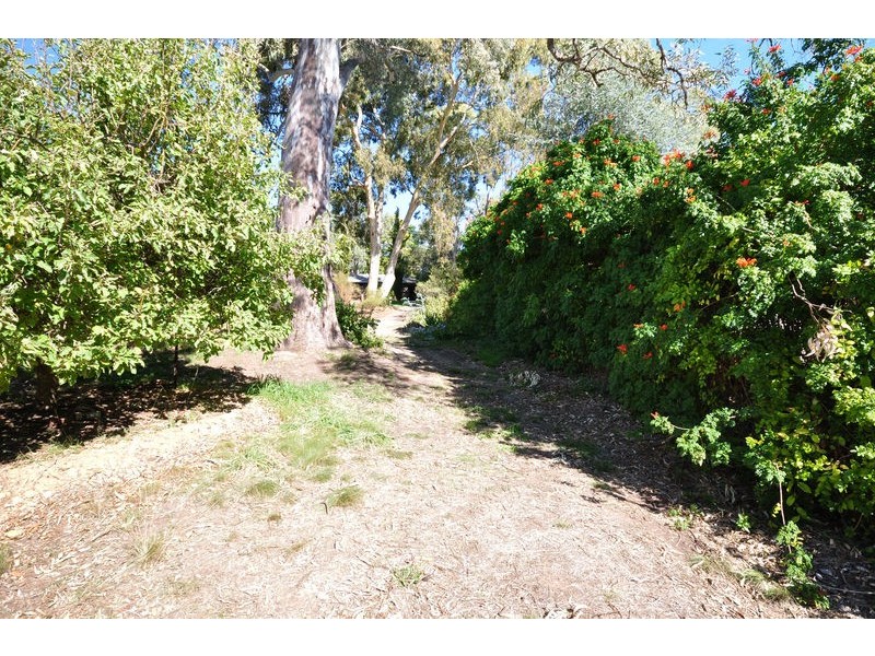 25a Sturt Avenue, Hawthorndene SA 5051