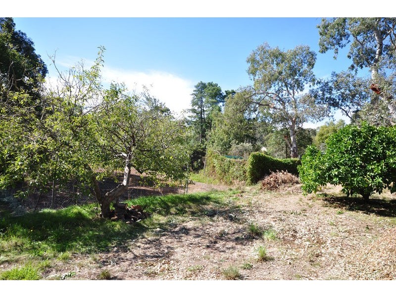 25a Sturt Avenue, Hawthorndene SA 5051