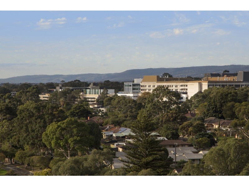 11 Hyland Ave, Darlington SA 5047