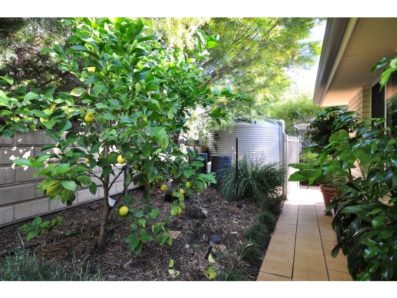 118 Bellaview Road, Flagstaff Hill SA 5159