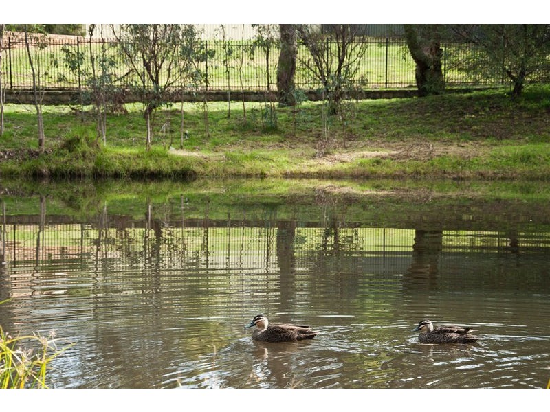 3 Kaufmann Place (Prestigous Blackwood Park), Craigburn Farm SA 5051