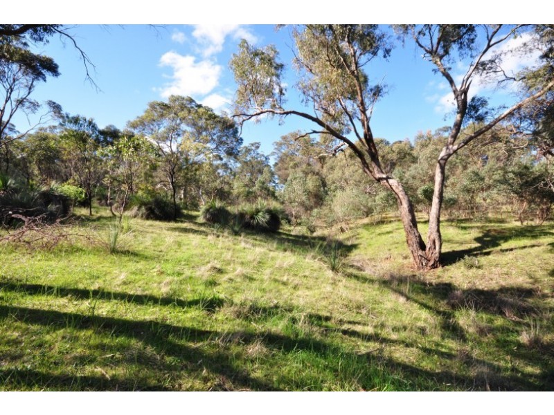 88 Mitchell Road, Chandlers Hill SA 5159