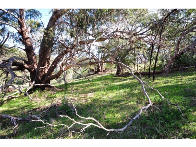 88 Mitchell Road, Chandlers Hill SA 5159