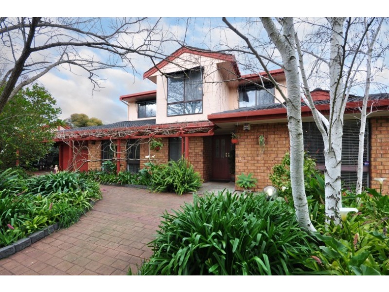 11 Abraxas Court, Aberfoyle Park SA 5159