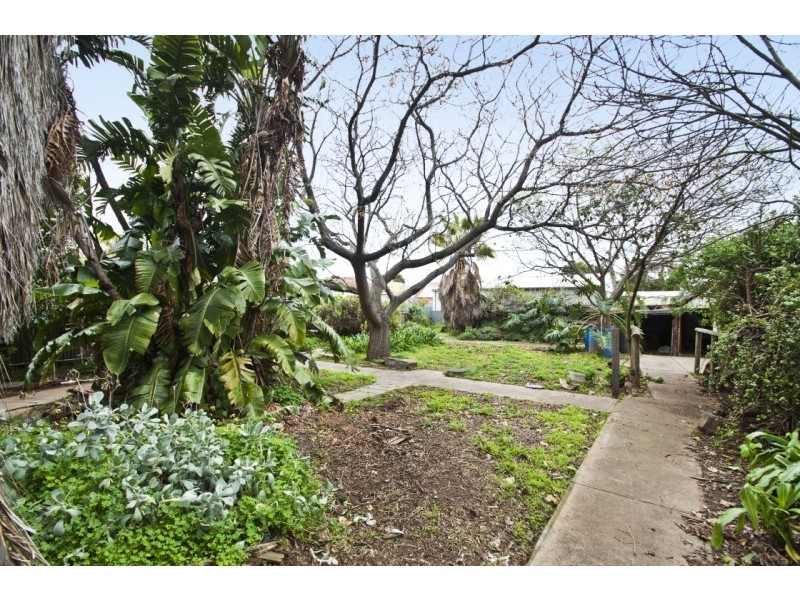 31 Hawson Avenue, North Plympton SA 5037