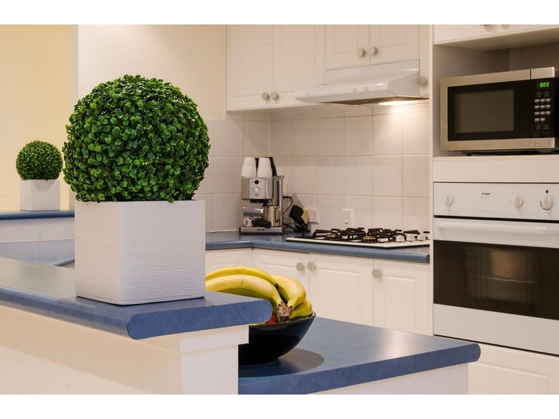 10 Newberry Ave (Coventry Gardens Estate), Morphettville SA 5043