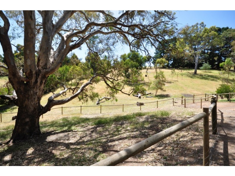 47 Mitchell Road, Chandlers Hill SA 5159