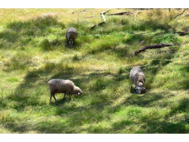 .47 Mitchell Road, Chandlers Hill SA 5159