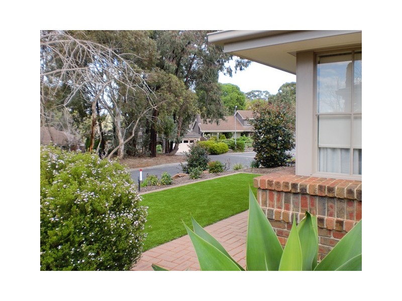 11 Palmyra Court, Flagstaff Hill SA 5159