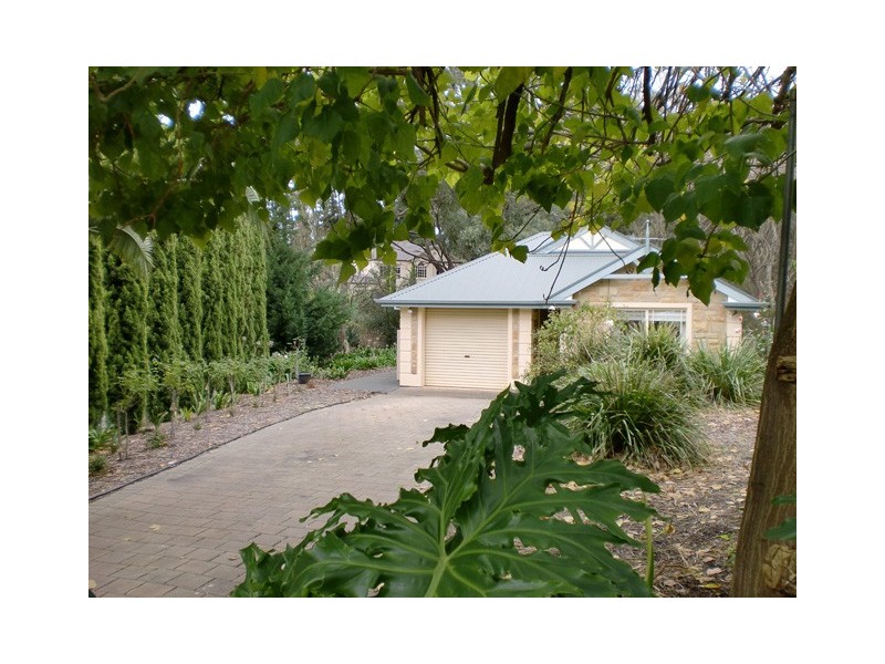 16 Nicholas Walk, Aberfoyle Park SA 5159